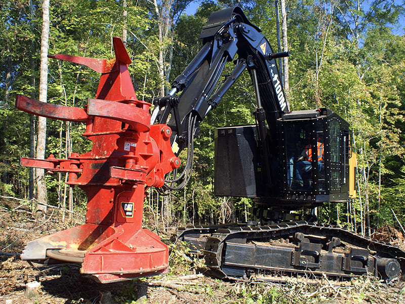 Forestry tracked feller buncher machine, boom and cutting head hydraulic cylinder system for tree cutting logging work
