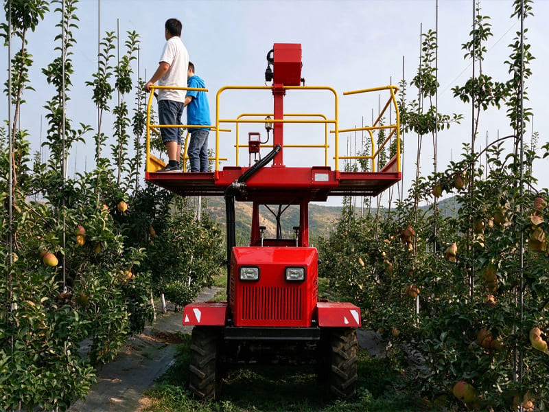 Red self-propelled hydraulic elevated work platform working in fruit orchard, two workers standing on platform for fruit picking & pruning